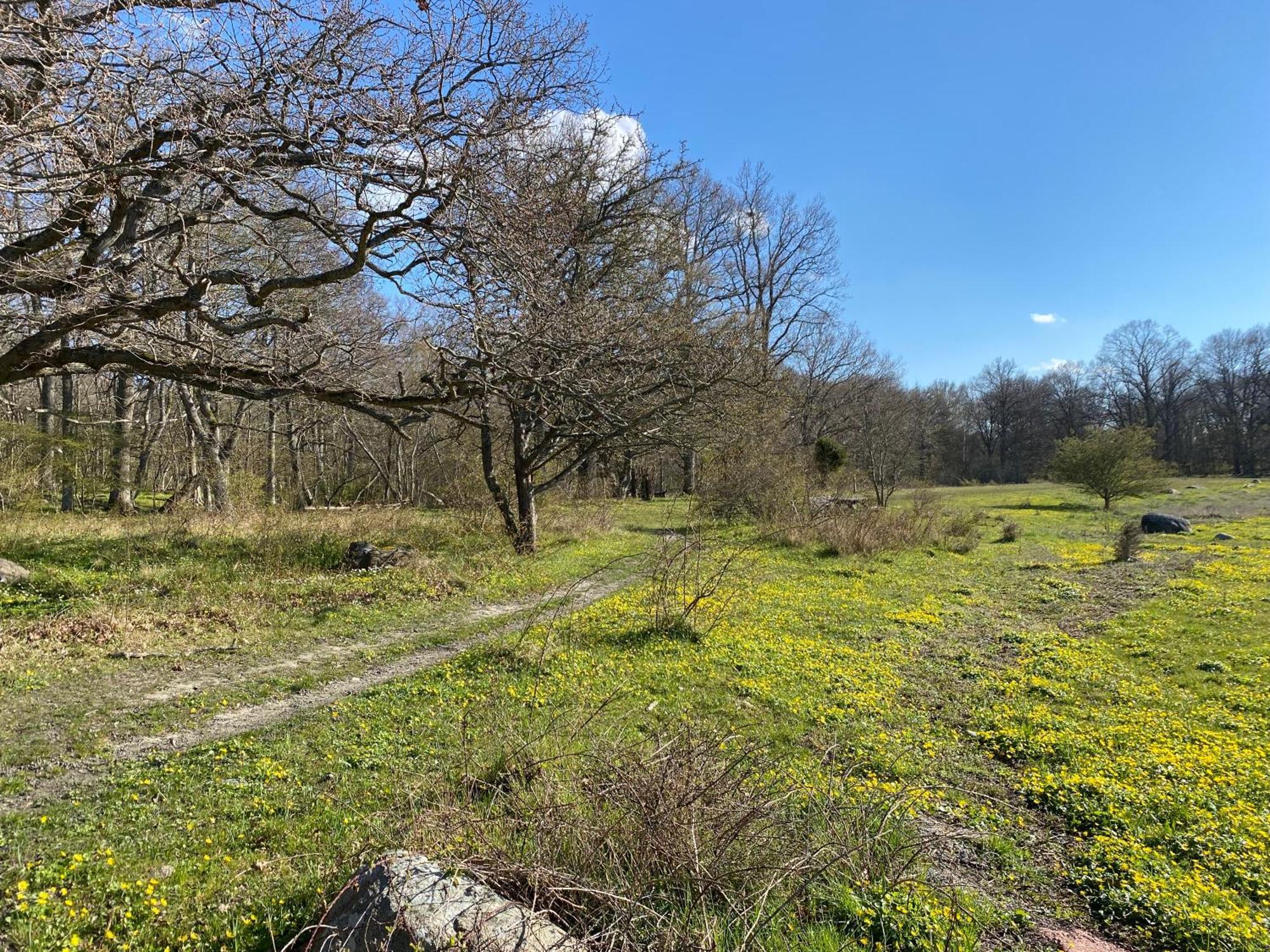 Gard Halltorps Hage Borgholm Exterior photo
